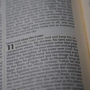 Encouraging Bible Verses for Homeschool Families