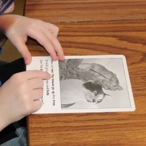 reading the story card