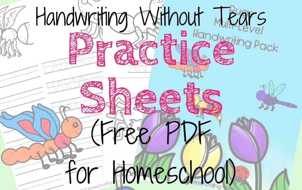 Handwriting Without Tears (First Grade Handwriting Curriculum) 