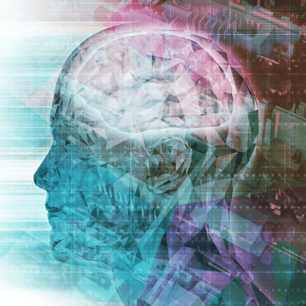 teach beginning reading based on brain science