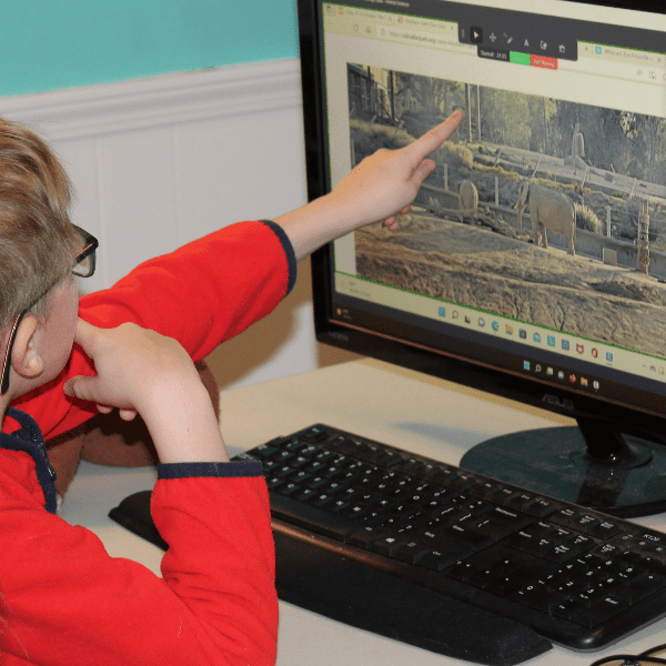 learning about elephants with Online Homeschool Electives with Allschool