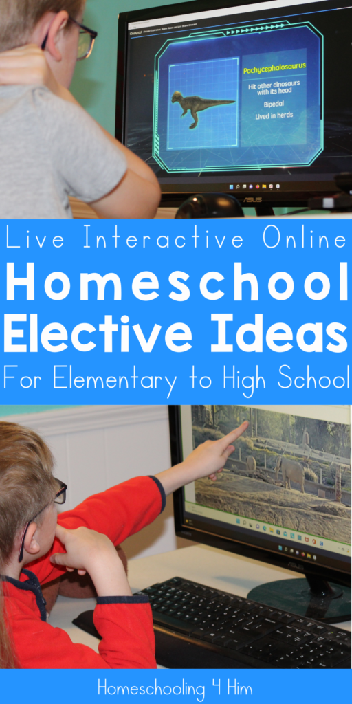 Live interactive online Homeschool Elective Ideas for elementary to high school with Allschool