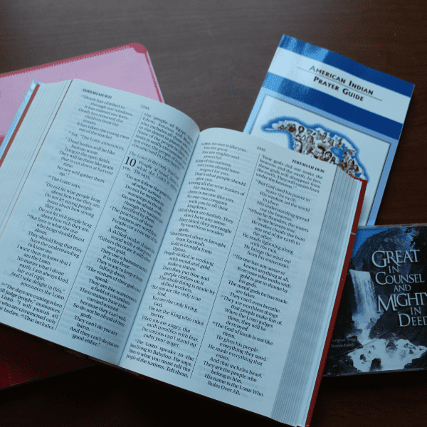 Bible resources included in Sonlight literature based history curriculum 