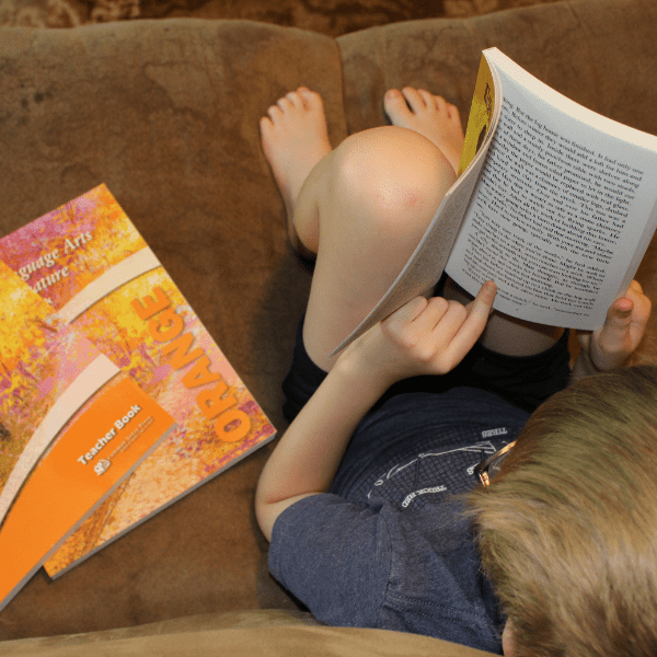 boy reading a novel for homeschool