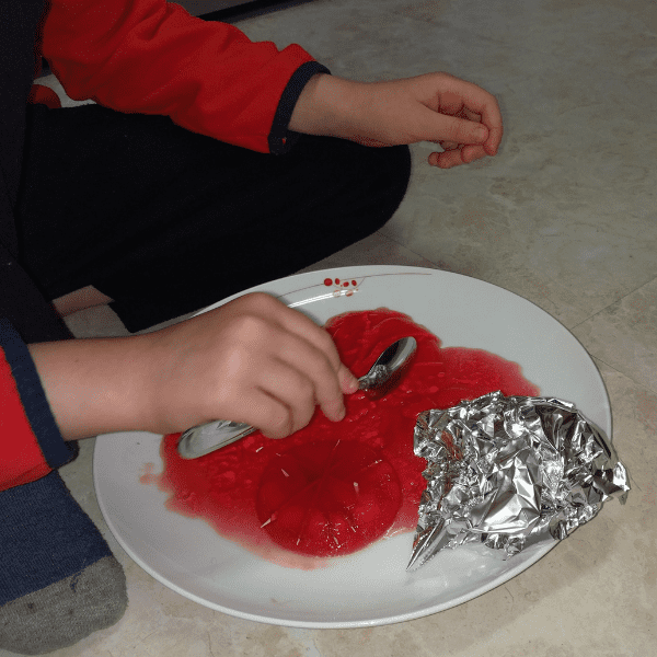 homeschool lesson about kinds of skeletons using a hands on science curriculum