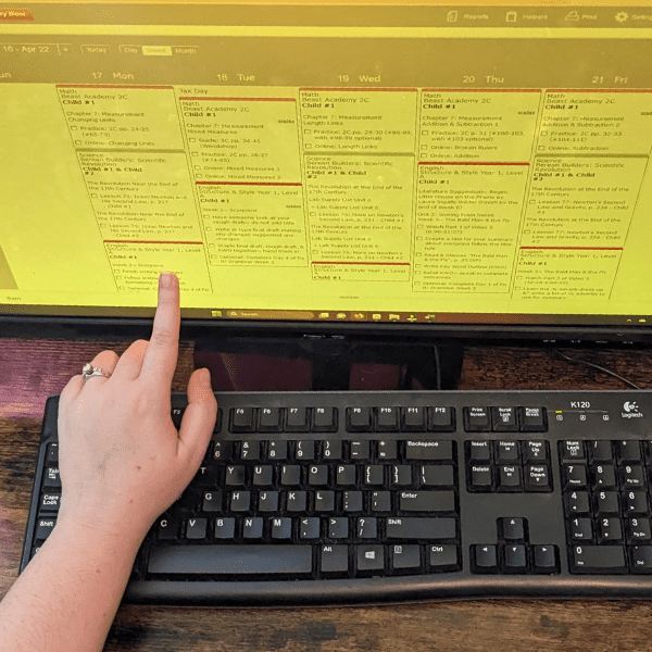 mom working on online homeschool planning with Homeschool Planet