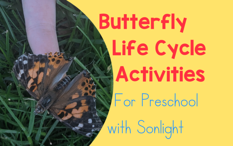 Butterfly Life Cycle Activities for preschool with Sonlight