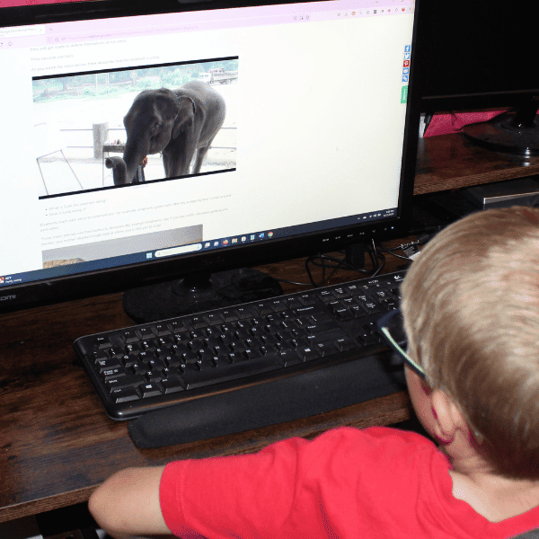 online learning for homeschool