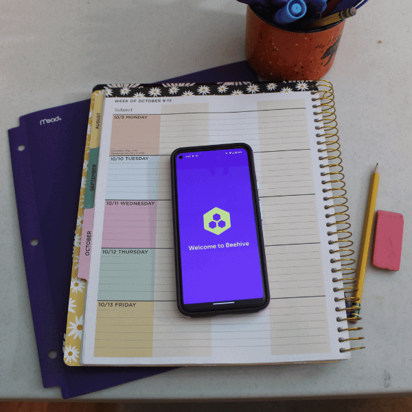 tracking progress and grades with Beehive in our homeschool